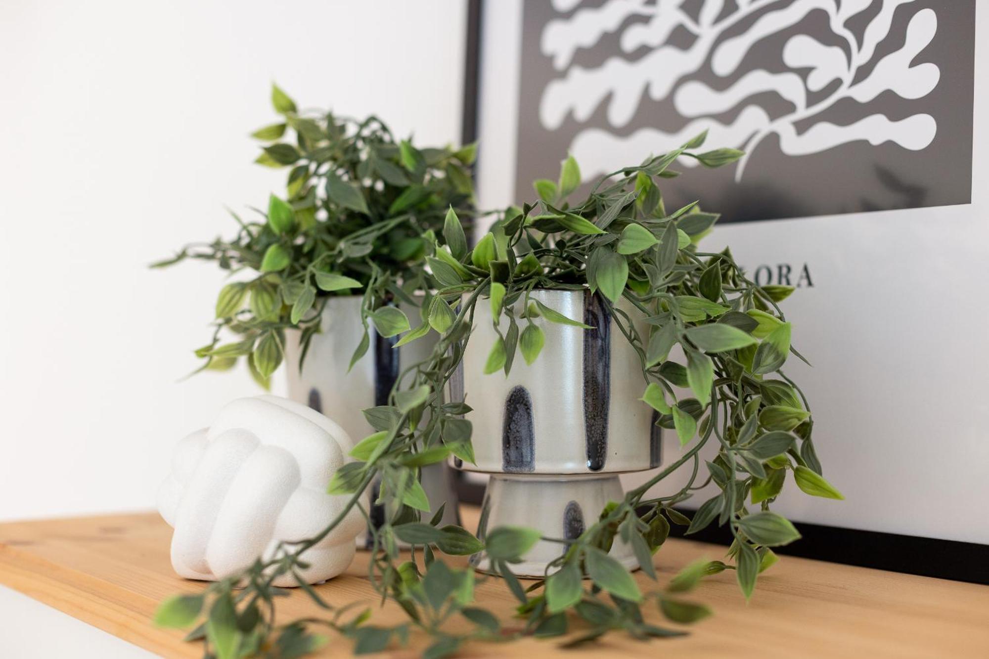 Bungalow Flora فيسترلاند المظهر الخارجي الصورة